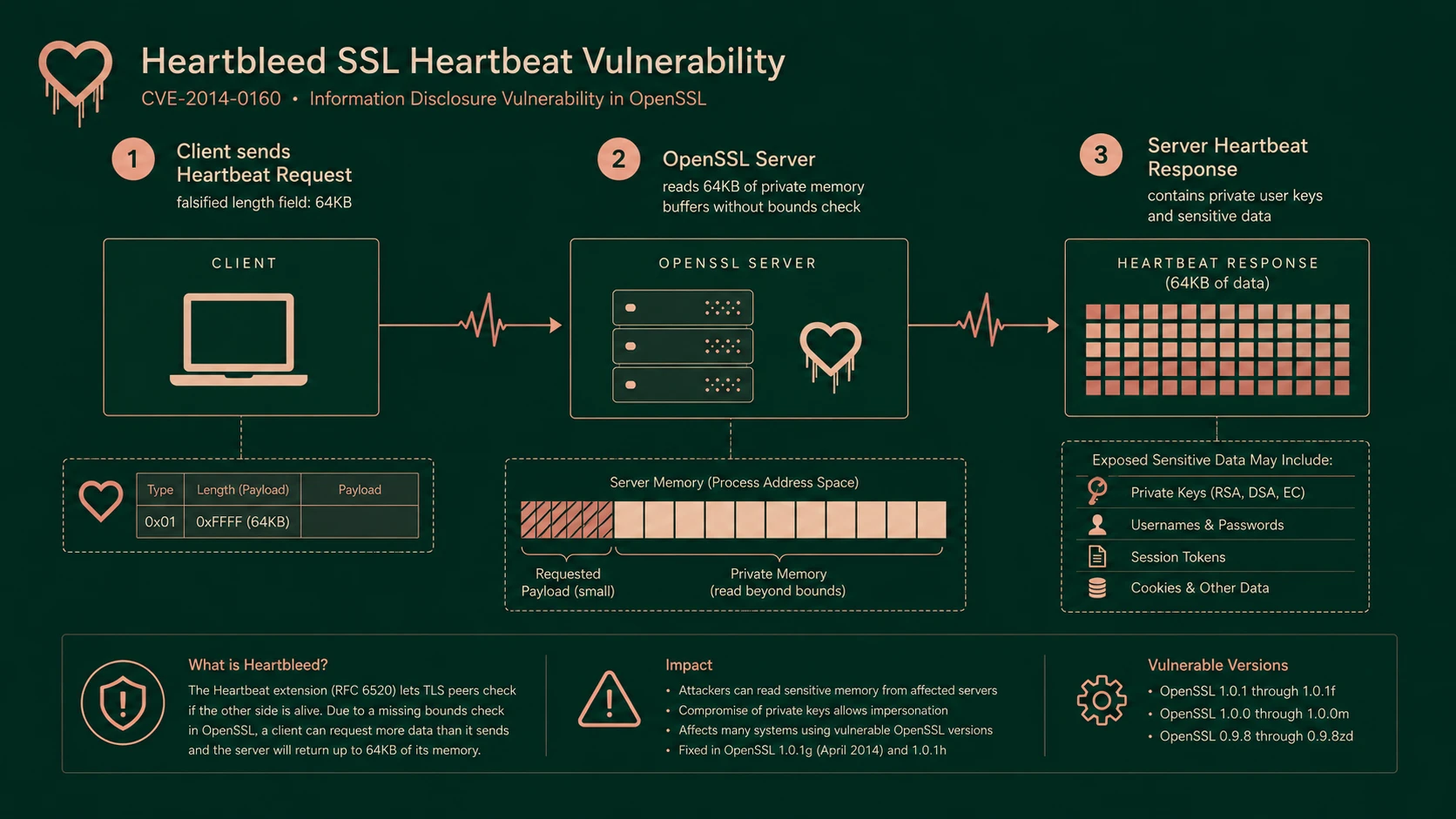 System architecture diagram and conceptual workflow layout for The Heartbleed Bug.